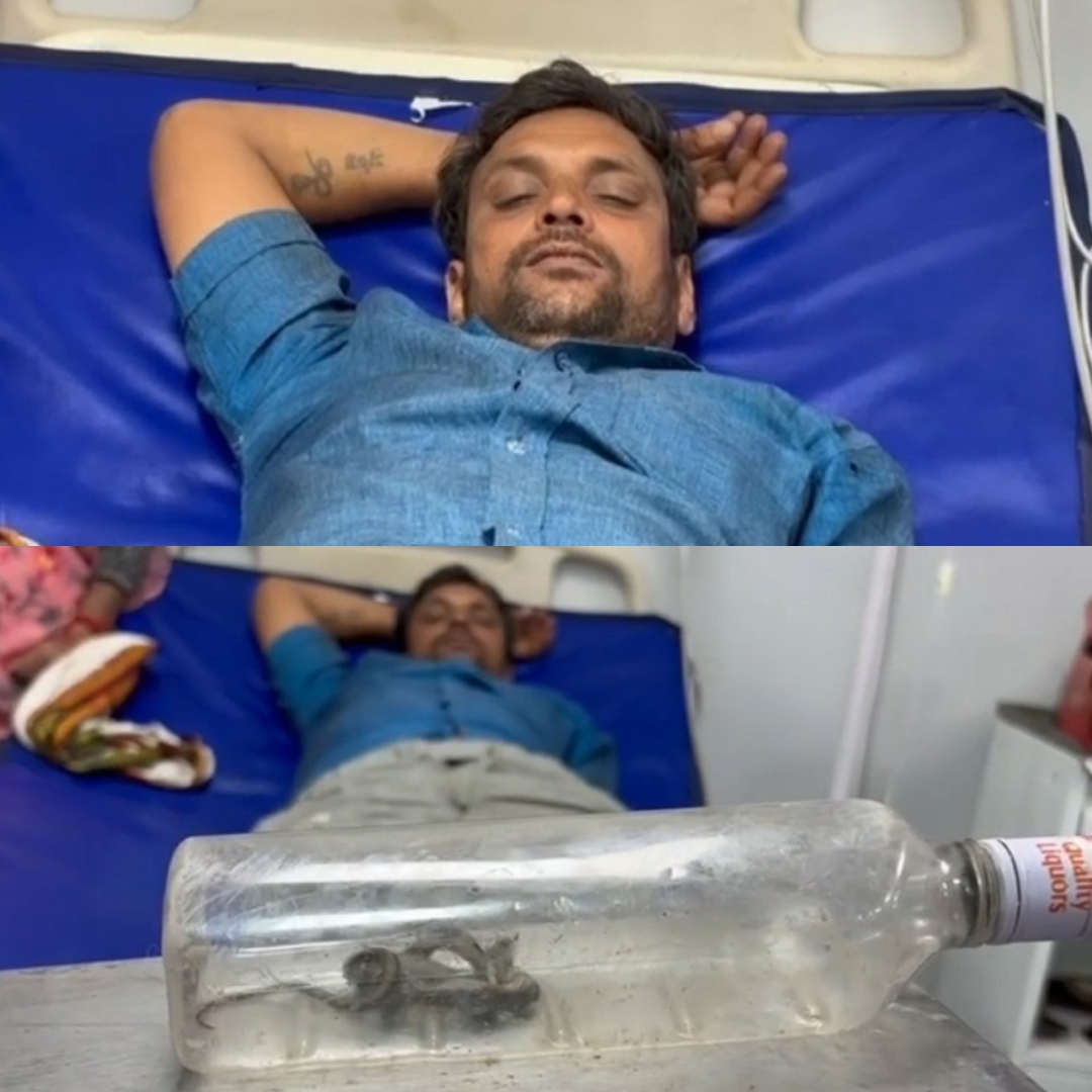 भिंड जिला अस्पताल में एक व्यक्ति बोतल में लेकर पहुंच गया जहरीला सांप , मचा हड़कंप, बोला – इसने मुझे काट लिया है भिंड जिला अस्पताल में एक व्यक्ति बोतल में लेकर पहुंच गया जहरीला सांप , मचा हड़कंप, बोला – इसने मुझे काट लिया है