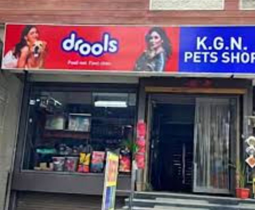 ग्वालियर में पालतू खरीदारी का सबसे बड़ा केंद्र बना KGN Pet Shop, 2 दशक से कायम विश्वास, देखें वीडियो